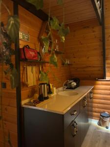 Kuchyň nebo kuchyňský kout v ubytování Mira Bungalov + 15 fotografií