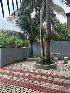 two palm trees and a bench in a courtyard at MJ Villa Ahangama in Ahangama +6 photos