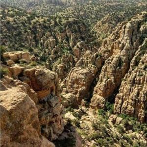 达纳Camping Guide的树木和灌木丛生的岩石山景