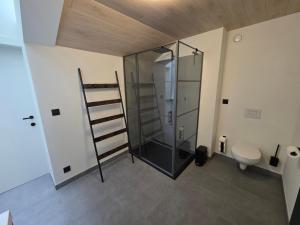 ein Badezimmer mit Glasdusche und Toilette in der Unterkunft Huisje Well Tevree in Roesbrugge-Haringe + 17 Fotos