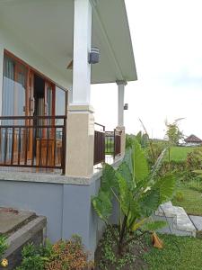 una casa con un porche y una planta frente a ella en Umaku Bali Homestay, en Gobleg