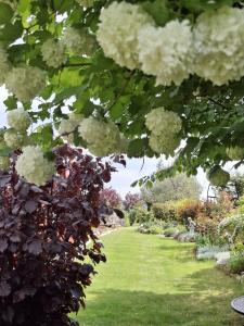 un jardin avec des fleurs blanches sur une pelouse dans l'établissement Eichenhäuschen - Tinyhouse im Weinviertel, à Kleinstelzendorf