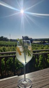 un verre de vin posé sur une table en bois, baigné par le soleil dans l'établissement Eichenhäuschen - Tinyhouse im Weinviertel, à Kleinstelzendorf