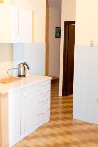 Kuchyň nebo kuchyňský kout v ubytování Apartman Goran