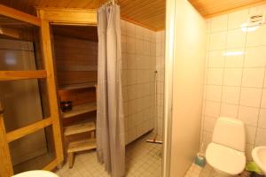 ein Bad mit einer Dusche und einem WC in einem Zimmer in der Unterkunft Holiday Home Marja-aapa 3 in Luosto + 19 Fotos