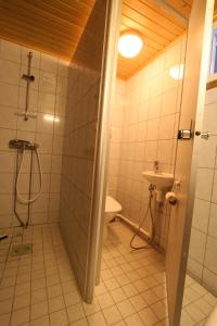 ein Badezimmer mit Dusche, Toilette und Waschbecken in der Unterkunft Holiday Home Marja-aapa 3 in Luosto