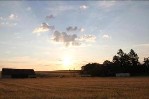 un coucher de soleil dans un champ avec une grange au premier plan dans l'établissement Eichenhäuschen - Tinyhouse im Weinviertel, à Kleinstelzendorf 6 autres photos