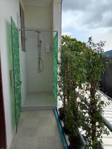 Φωτογραφία από το άλμπουμ του ราไวย์โฮสเทลRawai Hostel σε Ban Saiyuan (1) +21 φωτογραφίες