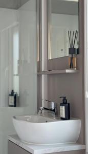 a white sink in a bathroom with a mirror at TETchalet met wellness tuin in Berkhout