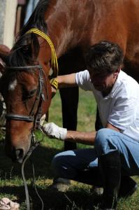 a man is petting a brown horse at Chambres d'hôtes Saint Denis in Mézières-sur-Issoire