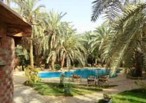 Bazén v ubytování Siwa Safari Paradise Hotel nebo v jeho okolí