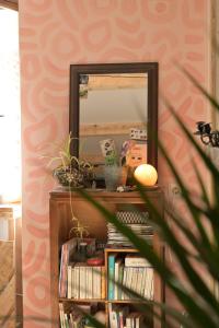 罗亚河畔布雷伊studio calme et lumineux的书架上装有书的镜子