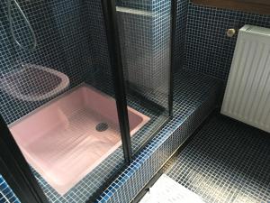 eine Dusche mit einer rosa Badewanne in einem Badezimmer in der Unterkunft Chaleureuse Maison de Montagne in Garin + 29 Fotos