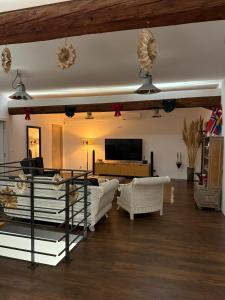 TV a/nebo společenská místnost v ubytování Pašić Apartman