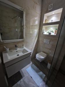 une salle de bain avec un lavabo et des toilettes dans l'établissement New Moment 2, à Žarkovo 7 autres photos