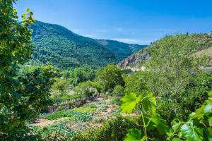 a view of a forest with mountains in the background at L'amandier à blajoux in Montbrun