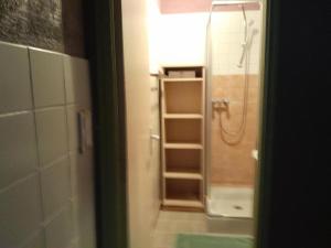 a bathroom with a shower and a walk in showeroser at Le chardon à blajoux in Montbrun