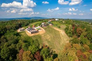 an aerial view of a house on a hill with trees at Marmor Collis by Winery Glavica in Gornja Gračenica