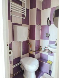 a purple and white bathroom with a toilet and sink at AlexHouseTheater in Craiova