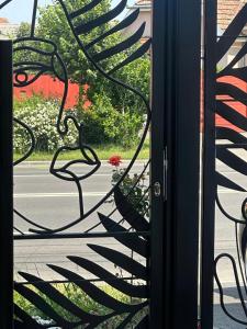 a view of a window with a flower in a vase at Eclectic 6 in Satu Mare