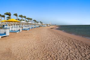 a beach with chairs and umbrellas and the ocean at Pickalbatros Royal Moderna Sharm "Aqua Park" in Sharm El Sheikh +271 photos