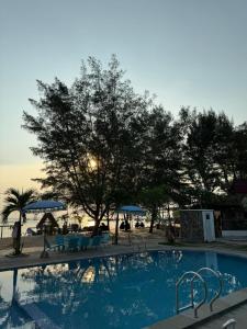 a swimming pool with chairs and umbrellas and a tree at Vinn Villa, Coffee & Resto in Bugel