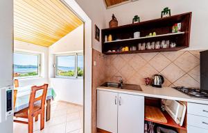 une cuisine avec un évier et un plan de travail dans l'établissement Holiday home Edi by Villas Guide, à Otočić Ošjak