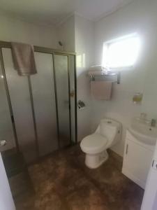 比尔切斯Hoteles Asociados de Vilches Alto的浴室里有马桶、淋浴和洗手池。