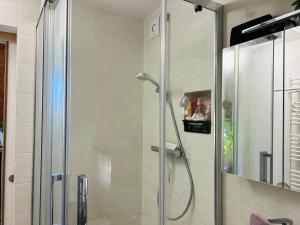a shower with a glass door in a bathroom at House for nature lovers in Medvode