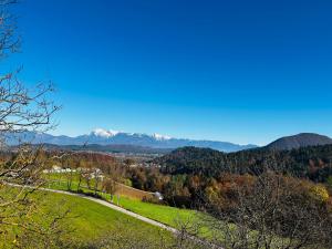a view of a valley with mountains in the distance at House for nature lovers in Medvode