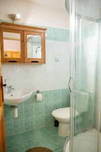 une salle de bain avec un lavabo, des toilettes et une douche dans l'établissement Chata Dolinka Gápel, à Valaská Belá 38 autres photos