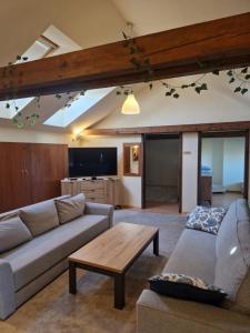 a living room with a couch and a table at Noclegi Opole-Chmielowice Apartament C in Opole