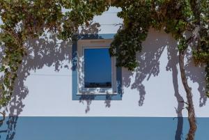 Foto dalla galleria di Vinhas Douradas a Moura