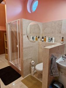 a bathroom with a shower and a toilet and a sink at Noclegi Opole-Chmielowice Apartament C in Opole +19 photos