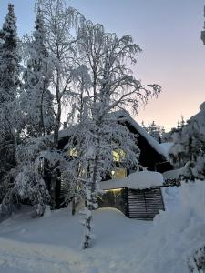 Villa Lucky Live by Hilla Villas v zimě