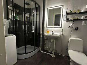 a bathroom with a shower and a sink and a toilet at Vanhan paloaseman loft -asunto in Sievi +13 photos