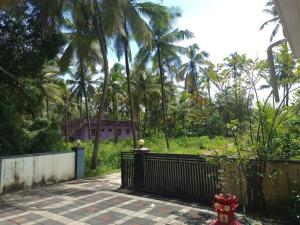 een oprit met een hek en palmbomen bij White House Home Stay! in Kaup +3 foto's