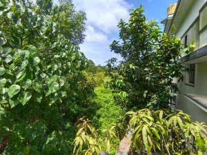 uitzicht op een tuin vanuit een huis met bomen bij White House Home Stay! in Kaup