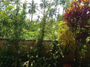 Fotografie z fotogalerie ubytování White House Home Stay! v destinaci Kaup + 3 fotografie