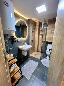 a bathroom with a sink and a toilet at Titik Apartments Mavrovo in Mavrovo