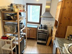 Η κουζίνα ή μικρή κουζίνα στο 2 rooms in Böblingen