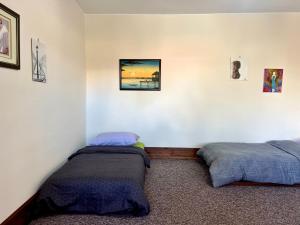 Voodi või voodid majutusasutuse Delphi Hostel toas