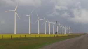 a row of windmills in a field next to a road at Parkway Motel & European Lodges in Pincher Creek