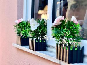 Foto Tiranas asuva majutusasutuse Delphi Hostel galeriist