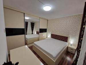 a small bedroom with a bed and a mirror at Riverside Central Apartment in Satu Mare