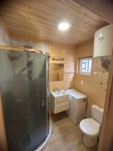 a bathroom with a shower and a toilet and a sink at Kotwica in Jezierzany +96 photos