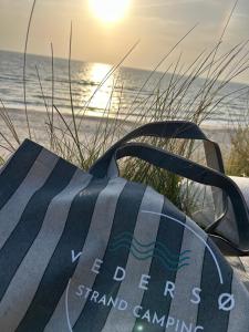 a surfboard sitting on a bench at the beach at Vedersø Strand Camping in Ulfborg