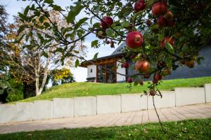 an apple tree in front of a house at Chalet Landsitz in Dippoldiswalde