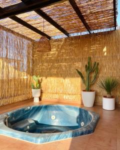 Fotografie z fotogalerie ubytování TrendyHomes Laguna Beach v destinaci Vera