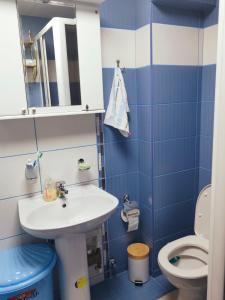 a bathroom with a sink and a toilet at Look Apartman in Vrnjačka Banja